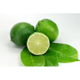 Acquista Limone Limetta Cespuglio con riferimento LIMCESVL18 della ditta Vivai Gardenhome