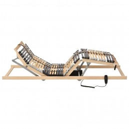 Acquista Letto con Telaio a Doghe Elettrico 42 Doghe 7 Zone 80x200 cm con riferimento GHV-321827 della ditta GARDENHOME