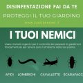 disinfestazione giardino fai da te