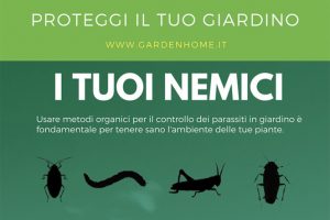 disinfestazione giardino fai da te