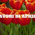 lavori in giardino e orto ad aprile