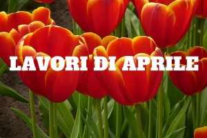 lavori in giardino e orto ad aprile