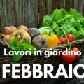 Lavori in giardino a Febbraio