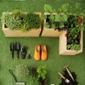 come fare un orto sul balcone