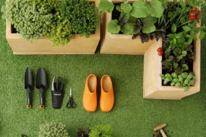 come fare un orto sul balcone