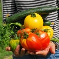 lavori agosto giardino semina raccolta