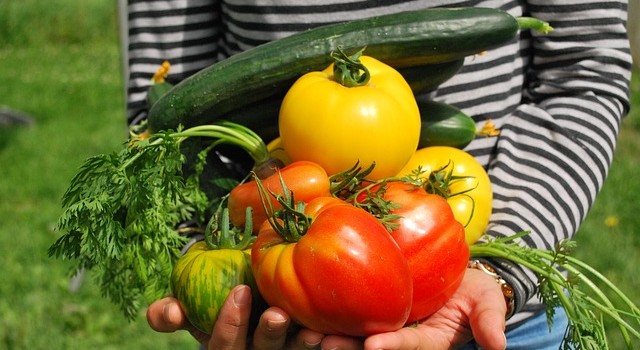 lavori agosto giardino semina raccolta