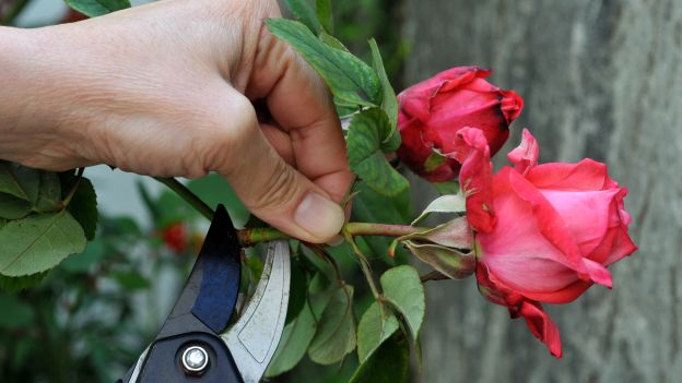 lavori giardino aprile
