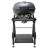 BARBECUE A GAS