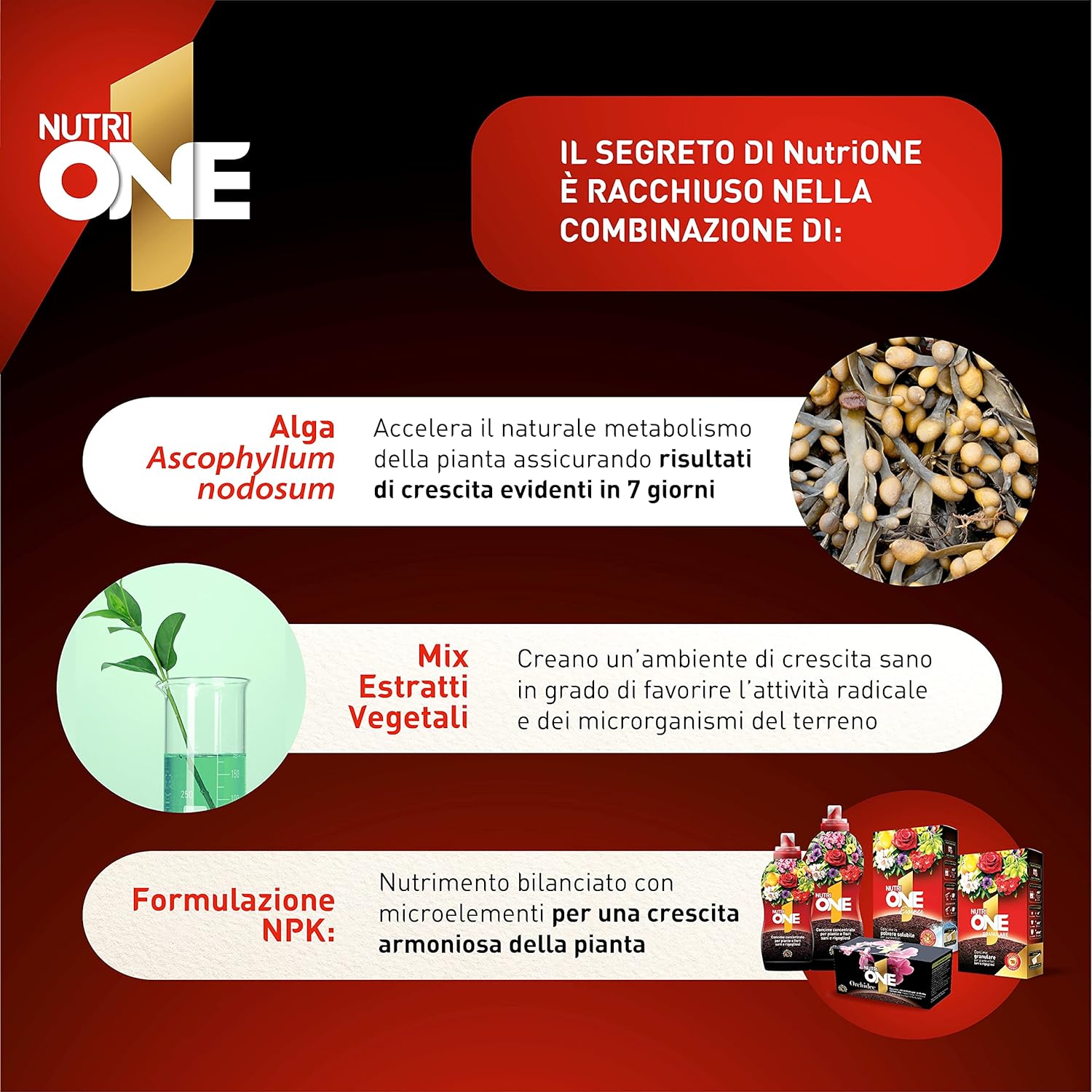 Acquista One Essence Concime Idrosolubile Concentrato x 750 g con riferimento 86600990 della ditta SBM life science