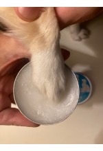 Photo from customer for Biomood Balsamo Zampe PET