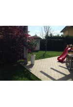 Photo from customer for Greenmood Oklahoma 1 Kg miscuglio per tappeto erboso Super resistente American Quality